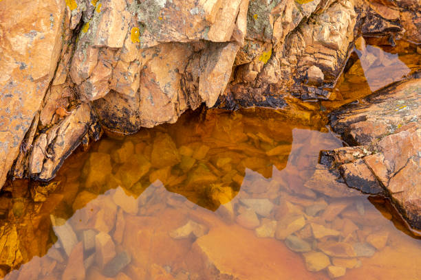 crude orange rock structure with orange water close up. norwegian beach detail. texture on the rock surface. rough strata, abstract composition. - f04 imagens e fotografias de stock