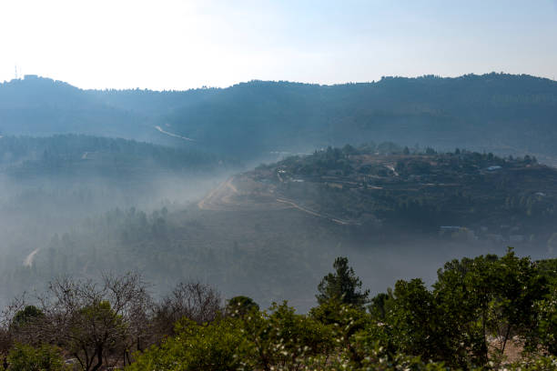 oliviers dans les montagnes de jérusalem. - mount of olives photos et images de collection