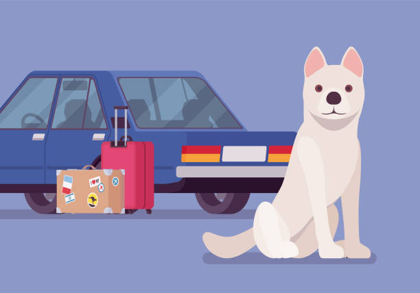 illustrazioni stock, clip art, cartoni animati e icone di tendenza di viaggio in auto e viaggio con un cane da compagnia - dog car
