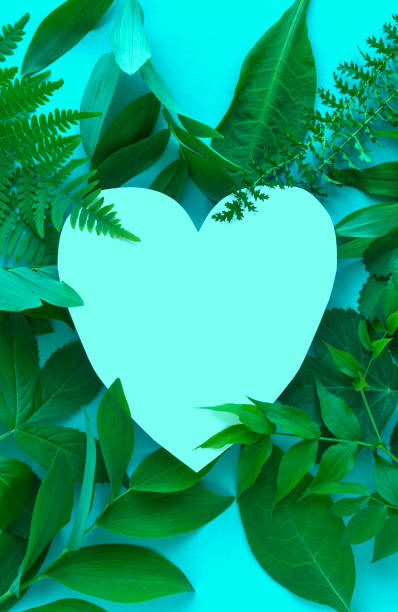 istock Green leaves and Heart 1186670929