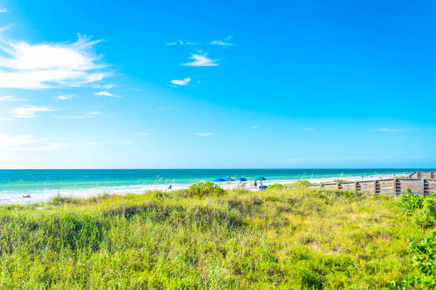 istock Indian rocks beach with green grass in Florida, USA 1186674432