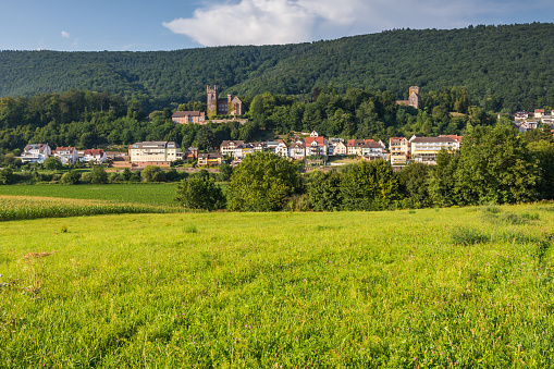 Neckarsteinach is located in the Neckar valley, 15 km east of Heidelberg. The town is famous for its castles. In the picture you see the so called Vorderburg and Mittelburg.