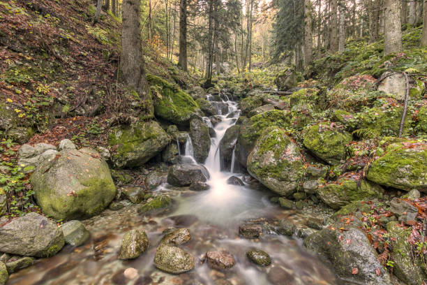 The waterfall in Pesio Valley in piedmunt,  fresh  water  in good sunny day, with a long expo I would took this nice waterfall