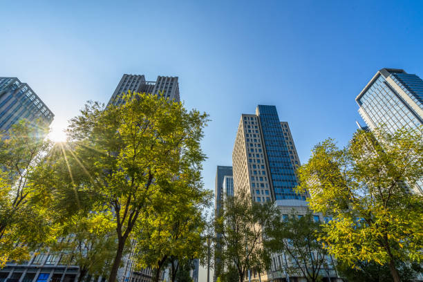 istock architectural complex against sky in downtown city, china 1186679699