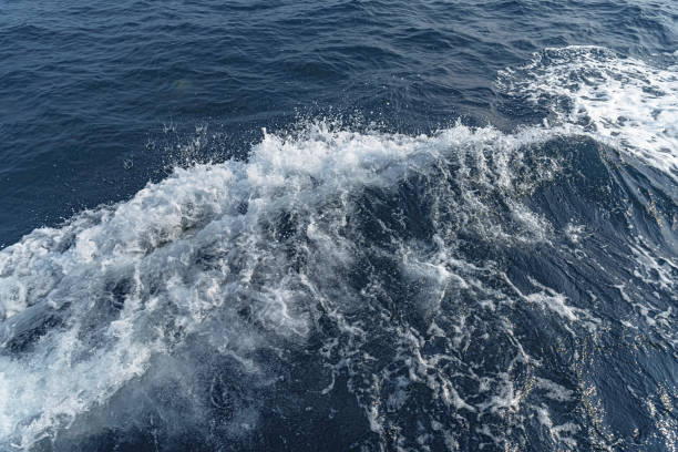 istock Breaking  waves in the sea 1186681152