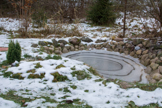 istock Flowerbed covered with snow by the pond 1186683113