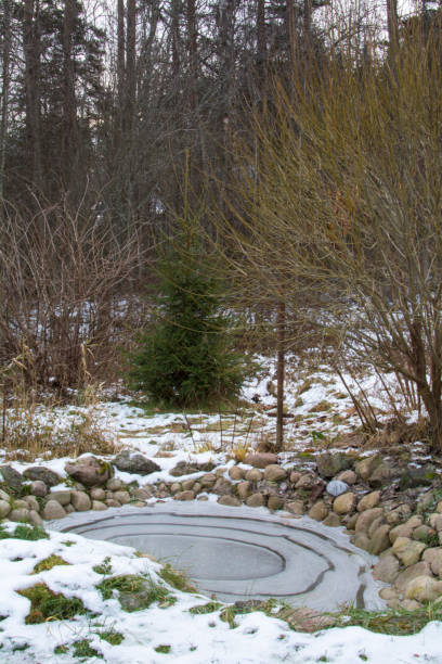 istock Green willow branches over a frozen pond 1186683115