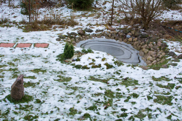 istock Green lawn at the pond is covered with snow 1186683182