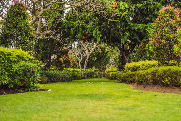 parque balinesa tradicional, jardim verde. bali, indonésia - lugar de devoção religiosa - fotografias e filmes do acervo