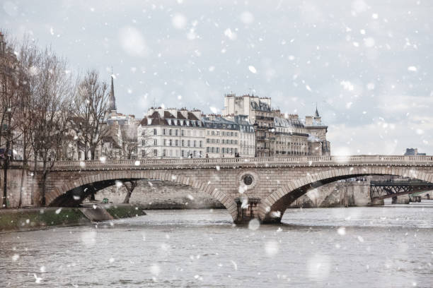 Photo of Seine River, bridges, Paris in gloomy winter day