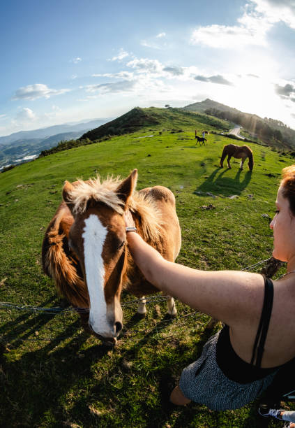 istock girl stroking a brown horse 1186687719