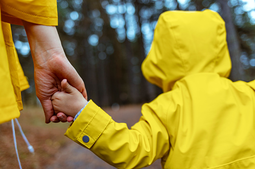 Rear view of unrecognizable Mother holding hand of little son while walking in nature wearing yellow rain coats.