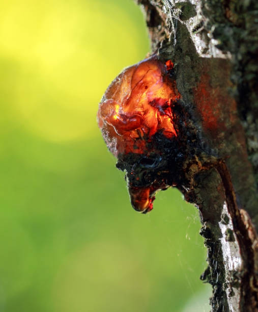 istock Red resin with a green background 1186687996
