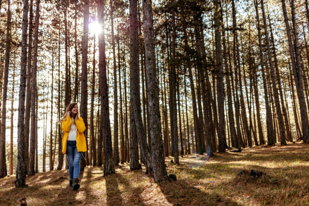 istock On her journey, through the woods she goes 1186689160
