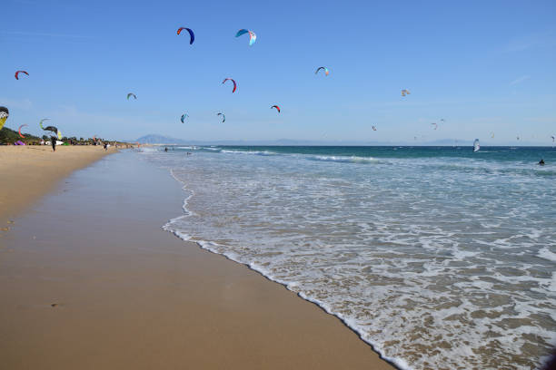 istock Kitesurfers at the at 