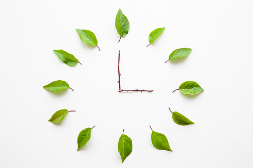 Clock created from fresh green leaves and twigs on light gray background. Time change concept. Closeup. Top down view.
