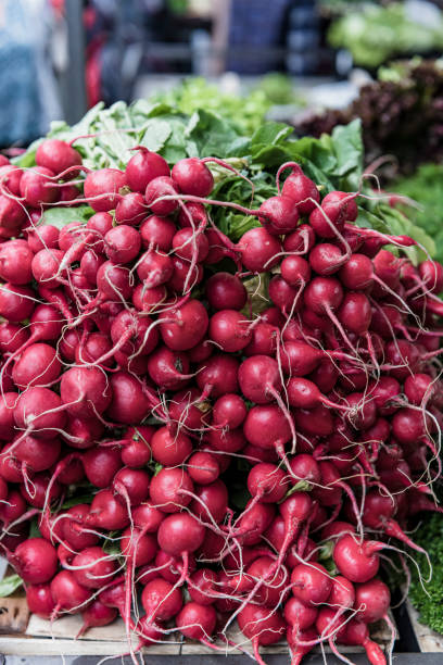 istock Radishes at the Market Stall 1186692648