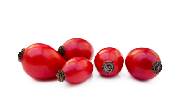 Ripe rose hip Ripe rose hip isolated on white background wild rose hip stock pictures, royalty-free photos & images