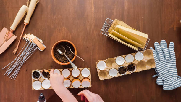 istock Mother and daughter starting seeds in eggshells 1186694245