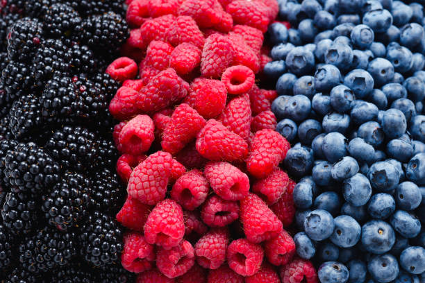 istock Blackberry, raspberry, blueberry background.  Top view. 1186698529
