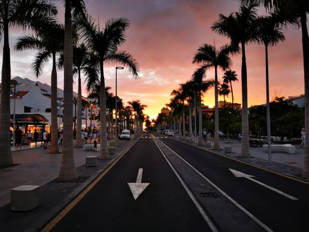 istock Stunning Sunset in Playa de las Americas Tenerife 1186700541