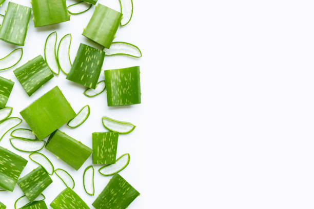 istock Medicinal plant, Aloe vera on white background. 1186700615