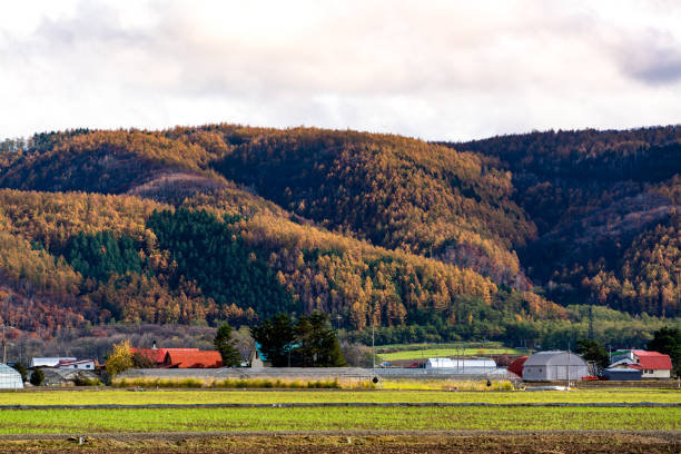 Active Volcano, Asia, Biei Town, Hokkaido, Japan