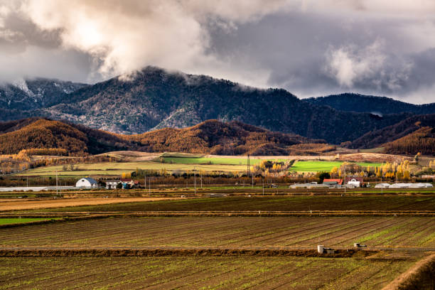 istock Autumn hilly areas and mountain range 1186704253
