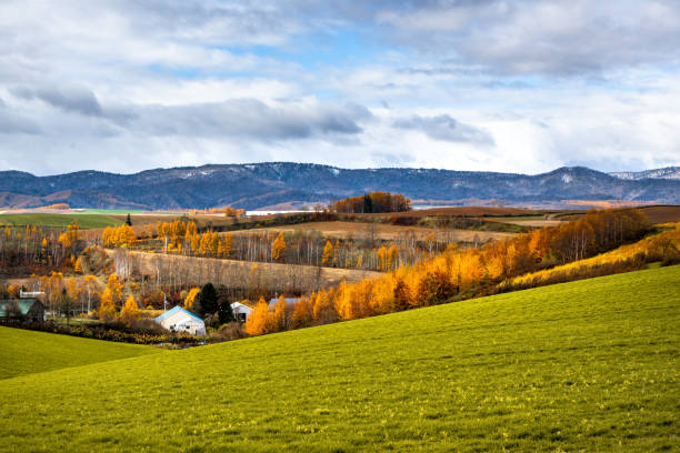 istock Autumn hilly areas and mountain range 1186704813