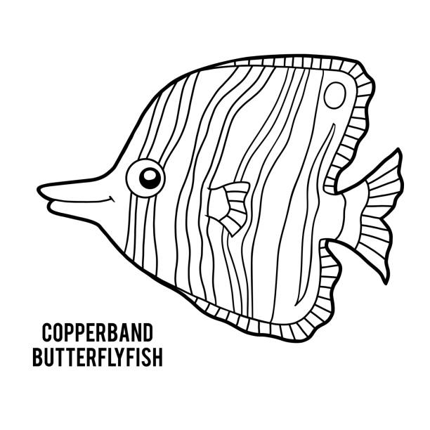 malbuch, kupferband schmetterlingsfisch - copperband butterflyfish stock-grafiken, -clipart, -cartoons und -symbole