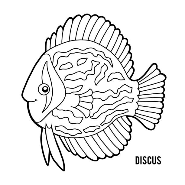 Coloring book, Discus fish Coloring book for children, Discus fish discus fish stock illustrations