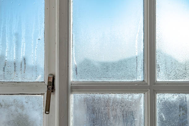 Cold room interior looking out onto water condensation formed on interior windows during early winter. Showing the wooden frame and metal lock, the condensation is known to cause damp and mould. mildew stock pictures, royalty-free photos & images