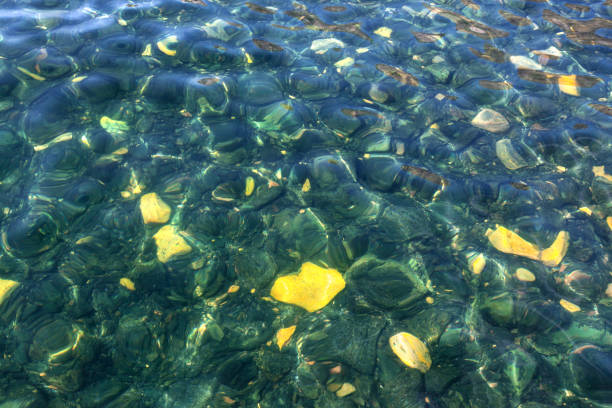 istock Beautiful pebbles under clear turquoise water 1186710562