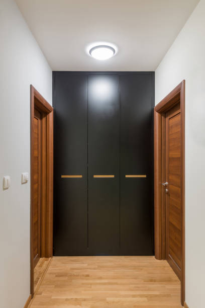 istock Entrance doorway corridor interior with closet 1186711257