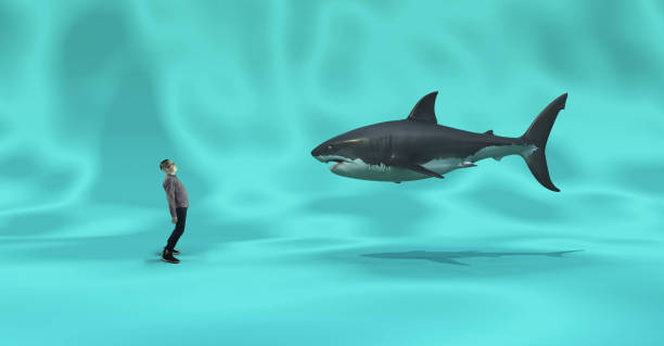 istock Kid underwater looking up to a shark 1186711978