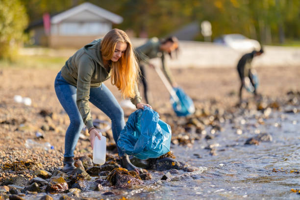 Young volunteers cleaning beach on sunny day Young woman bending over while picking up garbage. Volunteers are cleaning rocky beach on sunny day. They are protecting mother nature from pollution. social responsibility photos stock pictures, royalty-free photos & images