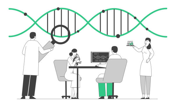 laborforschung oder experimentierprozess. medizin gentechnik. wissenschaftler arbeiten mit dna-struktur mit blick auf vergrößerung glas machen notizen auf pc. cartoon flache vektor-illustration, linie kunst - beginnings origins creation molecule stock-grafiken, -clipart, -cartoons und -symbole