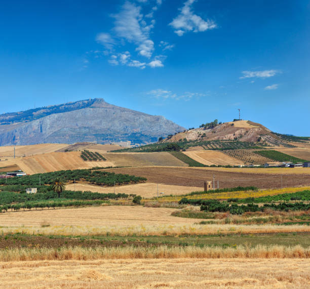 istock Sicily summer agriculture countryside, Italy 1186725197