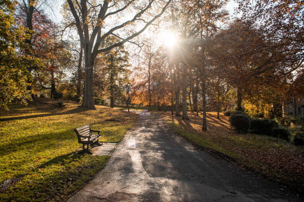 istock Autumn Colours in the Park 1186726494