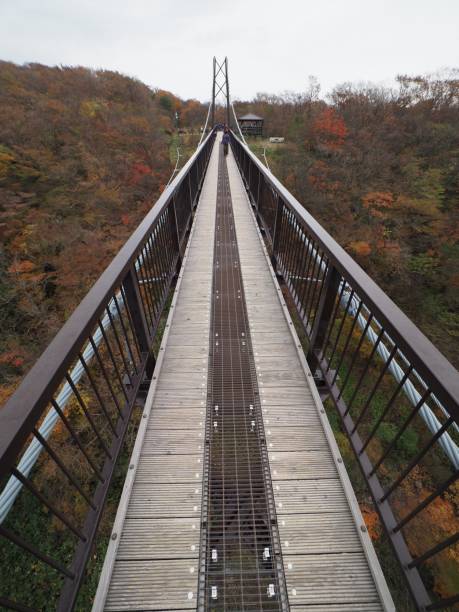 istock Japanese Autumn Scenery 1186726870