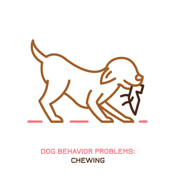 illustrazioni stock, clip art, cartoni animati e icone di tendenza di icona del problema di comportamento del cane - cane morde coda