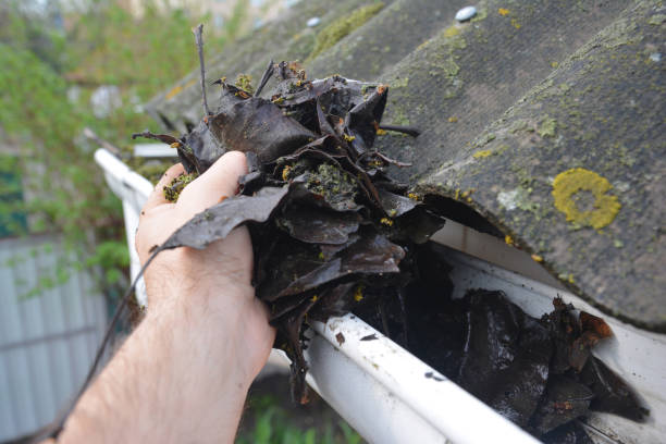 istock Roofer Cleaning Rain Gutter from Leaves in Spring. Roof Gutter Cleaning Tips. Clean Your Gutters Before They Clean Out Your Wallet. Gutter Cleaning. 1186729093