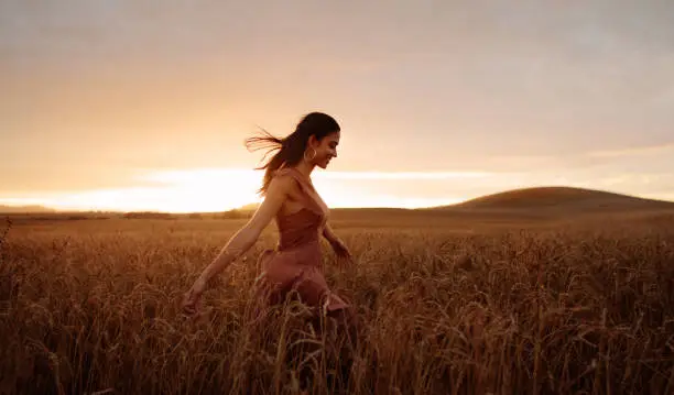 Photo of Carefree female strolling in the wheat field