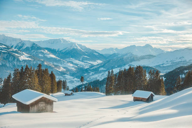 cabañas de montaña en lanieve laax, suiza. - shack european alps switzerland cabin fotografías e imágenes de stock
