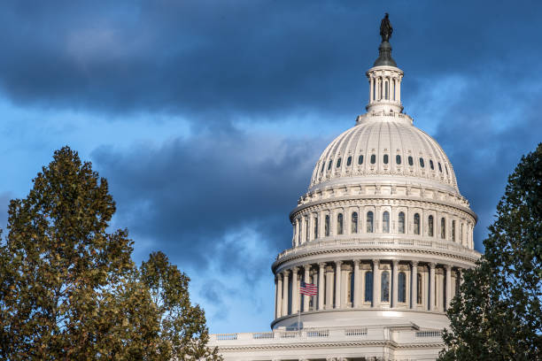 kongres usa - capitol building at capitol hill w waszyngtonie, stany zjednoczone - jesień - senate finance committee zdjęcia i obrazy z banku zdjęć