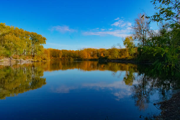 istock Natural pond in Vienna 1186729930