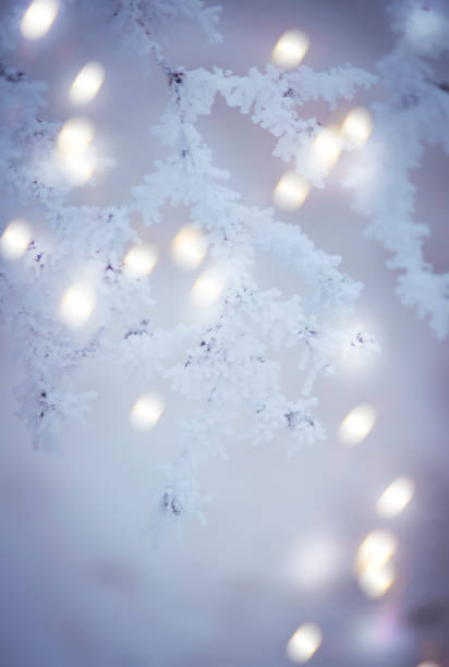 istock Branches under snow in hoarfrost, winter blurred natural background with bokeh, copy space 1186732629