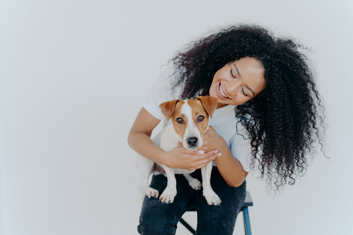 Glad dark skinned girl plays with jack russell terrier dog, have fun together, poses against white background, dressed casually. Happy Afro girl poses with pet indoor. People, animals, fun concept