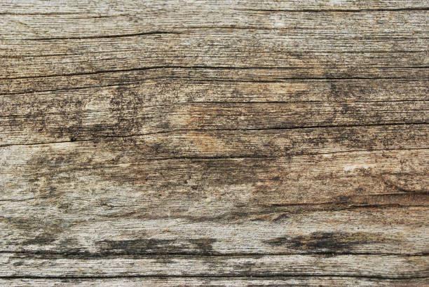 istock Wooden floor. 1186734512