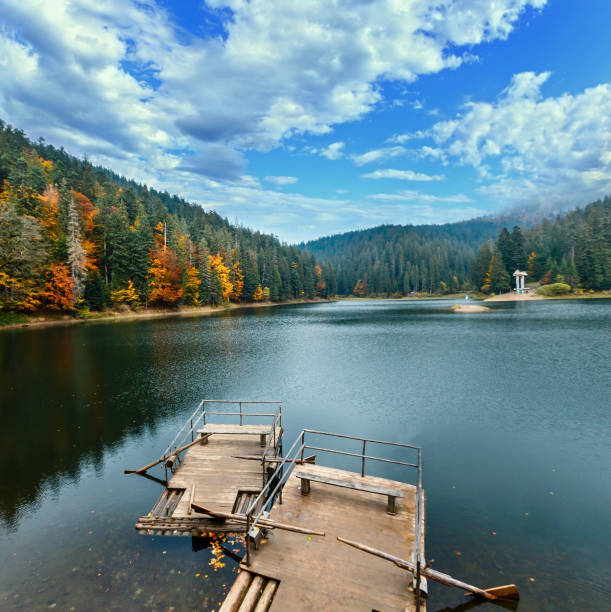 istock Lake Synevyr autumn view. 1186735746